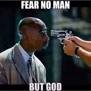 Meet your Posher, Maurice